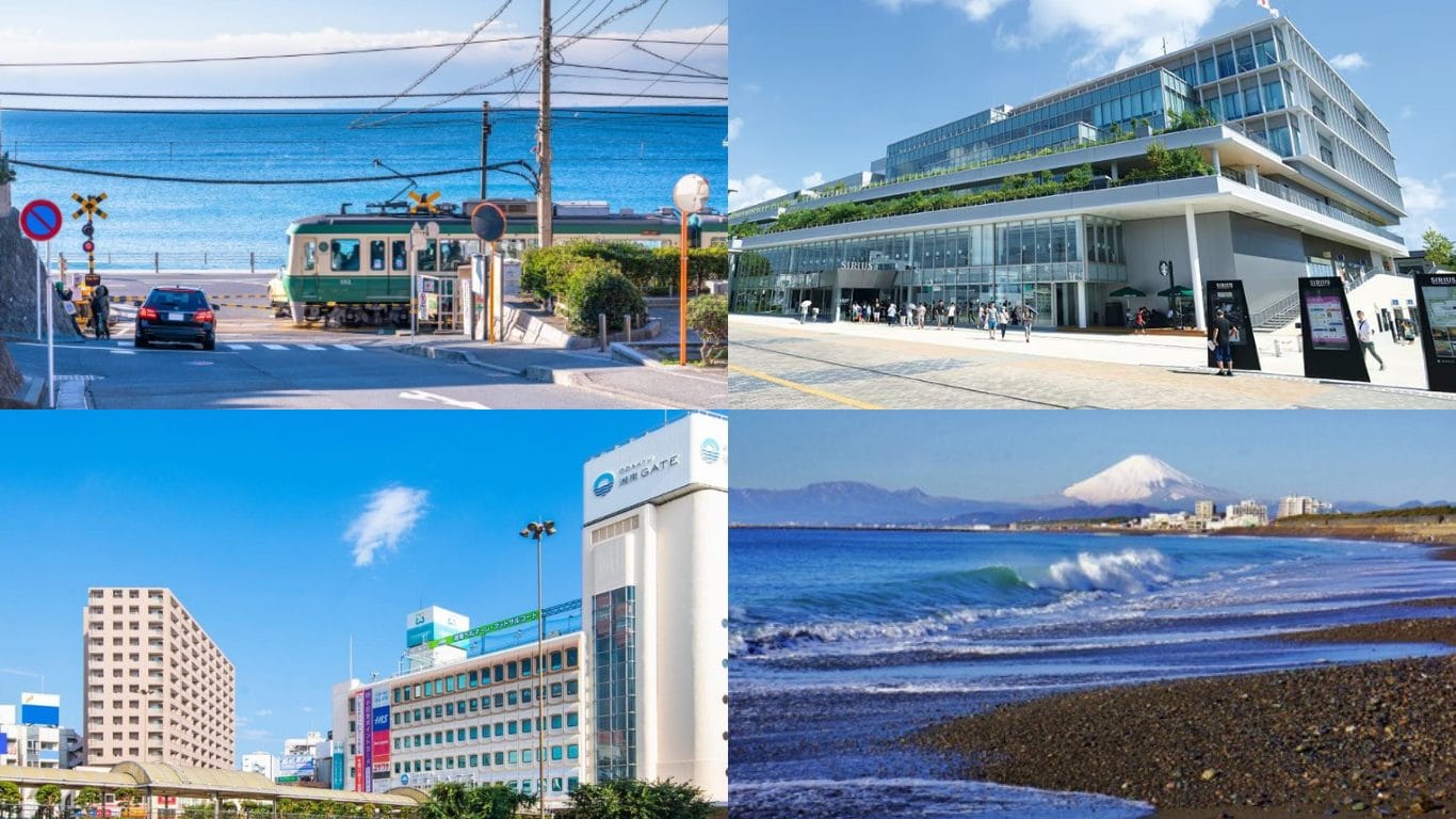 藤沢で猫可の賃貸・売買を探すなら三毛猫ホームズ