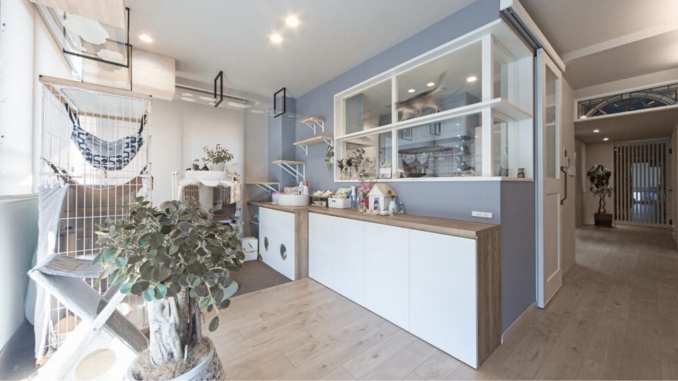 猫可物件 賃貸 猫 猫2匹 藤沢 売買 猫と暮らす 猫賃貸 猫売買 猫アパート 猫マンション