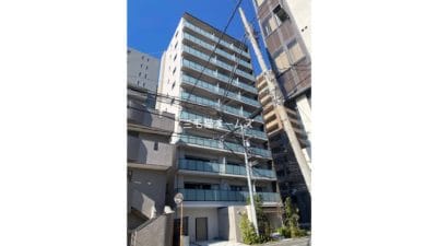 グレーシアフィット藤沢鵠沼 猫2匹可　三毛猫ホームズ　新築　「猫可」　「猫　不動産」　「猫と幸せに暮らす　賃貸」　「猫　賃貸」　「猫可　賃貸」　「猫可　賃貸　アパート」　「猫と暮らす　賃貸」　「猫可物件」