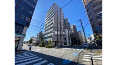 グレーシアフィット藤沢鵠沼 猫2匹可　三毛猫ホームズ　新築　「猫可」　「猫　不動産」　「猫と幸せに暮らす　賃貸」　「猫　賃貸」　「猫可　賃貸」　「猫可　賃貸　アパート」　「猫と暮らす　賃貸」　「猫可物件」