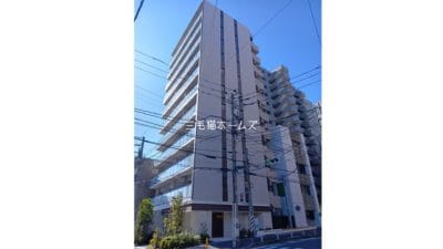 グレーシアフィット藤沢鵠沼 猫2匹可　三毛猫ホームズ　新築　「猫可」　「猫　不動産」　「猫と幸せに暮らす　賃貸」　「猫　賃貸」　「猫可　賃貸」　「猫可　賃貸　アパート」　「猫と暮らす　賃貸」　「猫可物件」