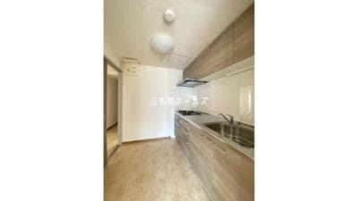 システムキッチン ガスコンロ3口付き 藤沢市鵠沼橘の賃貸マンション　収納豊富なキッチン 猫と暮らす藤沢駅徒歩5分マンション