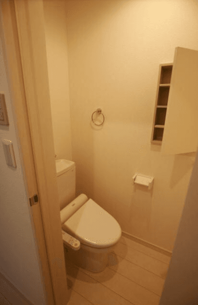 ルシェンテ　Ｄ棟、最上階　角部屋　トイレ、大和市, 大和駅, 2LDK, 猫可, 猫 賃貸, 猫可物件, 猫可 賃貸 マンション