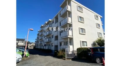 湘南ニューライフ 猫可