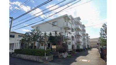 湘南ニューライフ