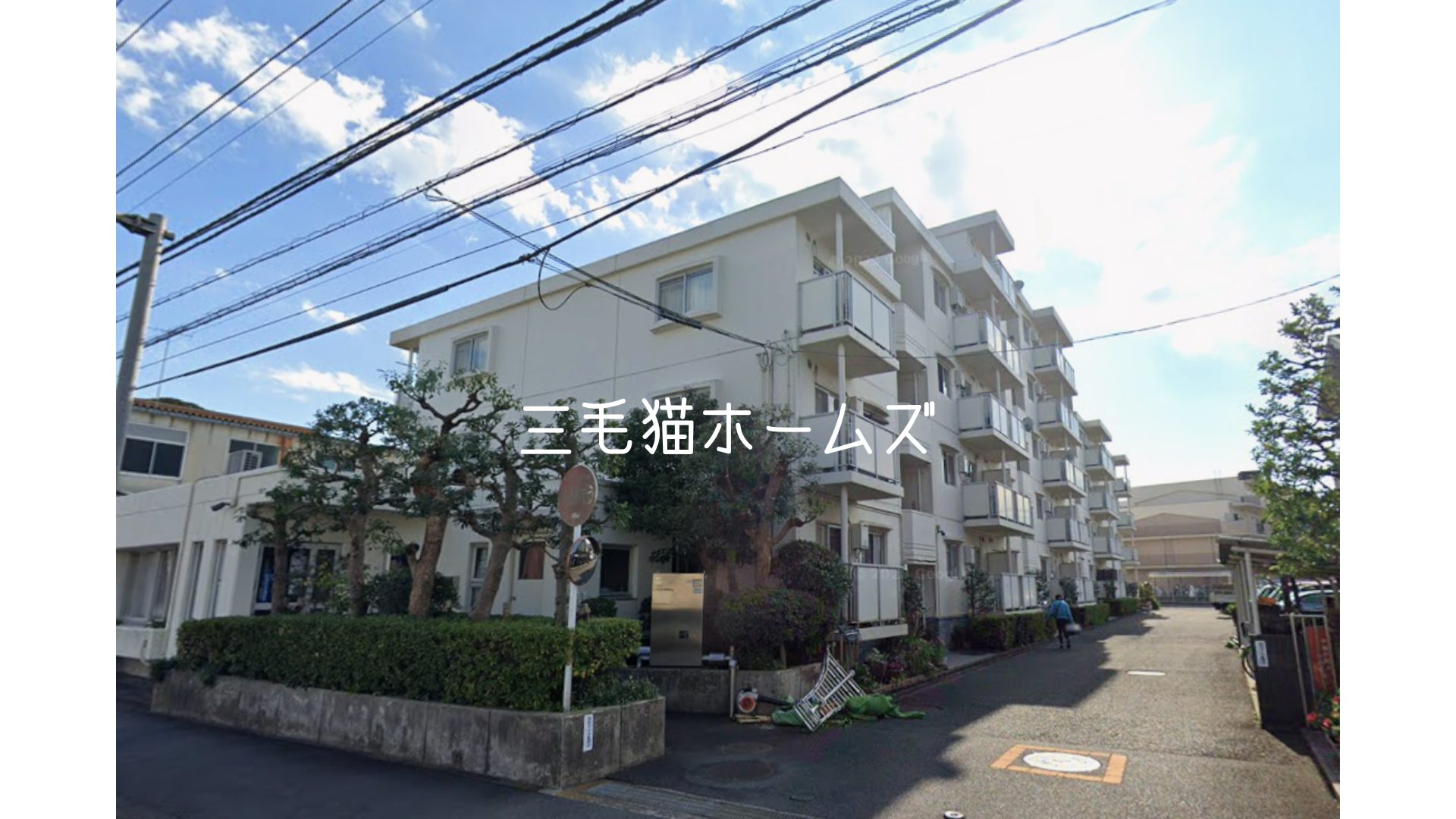 湘南ニューライフ