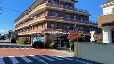 ペット可 2LDK賃貸マンション「メルシード」｜猫2匹OK・南向き角部屋 藤沢市　藤沢市　「猫可」　「猫　不動産」　「猫と幸せに暮らす　賃貸」　「猫　賃貸」　「猫可　賃貸」　「猫可　賃貸　マンション」　「猫と暮らす　賃貸」　「猫可物件」　三毛猫ホームズ
