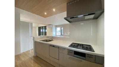 藤沢市　猫可　戸建て　猫2匹