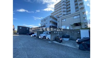 サンハロー湘南台　猫可　角部屋