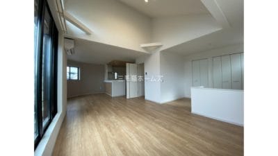 藤沢市　猫可　戸建て　猫2匹