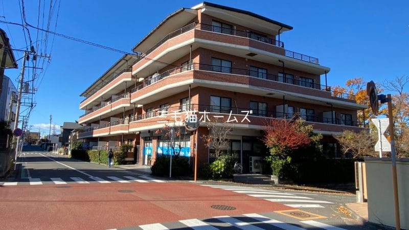 ペット可 2LDK賃貸マンション「メルシード」｜猫2匹OK・南向き角部屋 藤沢市　藤沢市　「猫可」　「猫　不動産」　「猫と幸せに暮らす　賃貸」　「猫　賃貸」　「猫可　賃貸」　「猫可　賃貸　マンション」　「猫と暮らす　賃貸」　「猫可物件」　三毛猫ホームズ