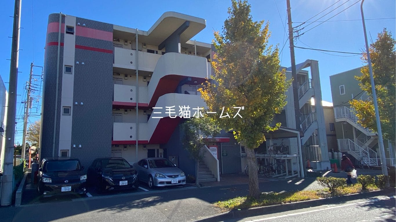 ラピスリーオ　藤沢市「猫可」　「猫　不動産」　「猫と幸せに暮らす　賃貸」　「猫　賃貸」　「猫可　賃貸」　「猫可　賃貸　アパート」　「猫と暮らす　賃貸」　「猫可物件」　