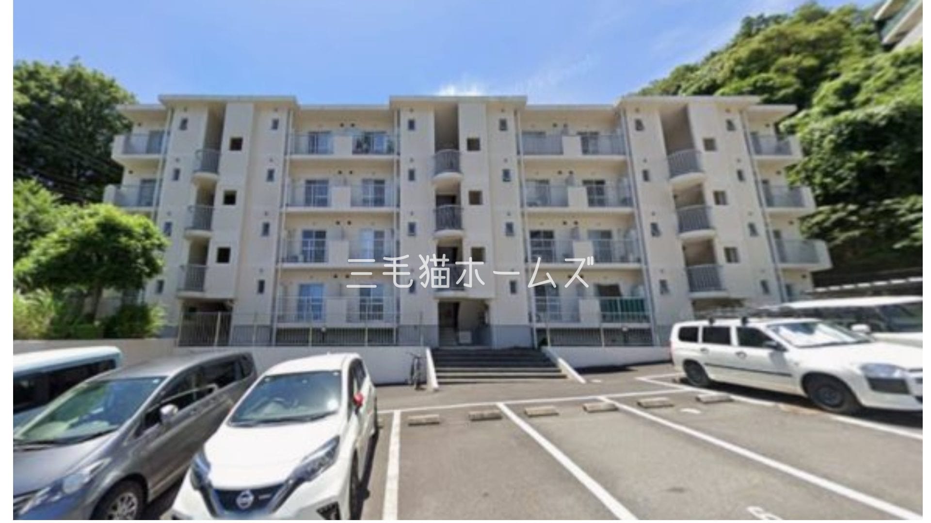 鎌倉グリーンヒルズ　鎌倉市　「猫可」　「猫　不動産」　「猫と幸せに暮らす　賃貸」　「猫　賃貸」　「猫可　賃貸」　「猫可　賃貸　マンション」　「猫と暮らす　賃貸」　「猫可物件」　三毛猫ホームズ