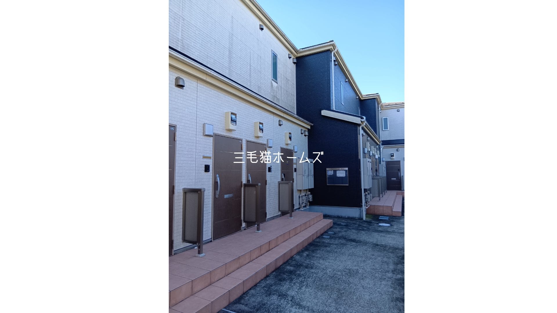 アムール雫 柳小路駅 徒歩4分　藤沢市　「猫可」　「猫　不動産」　「猫と幸せに暮らす　賃貸」　「猫　賃貸」　「猫可　賃貸」　「猫可　賃貸　アパート」　「猫と暮らす　賃貸」　「猫可物件」　三毛猫ホームズ