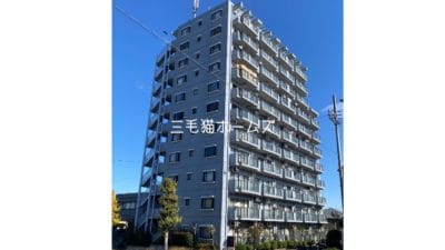 サンハロー湘南台　藤沢市　　「猫可」　「猫　不動産」　「猫と幸せに暮らす　売買」　「猫　売買」　「猫可　売買」　「猫可　売買　マンション」　「猫と暮らす　売買」　「猫可物件」　三毛猫ホームズ