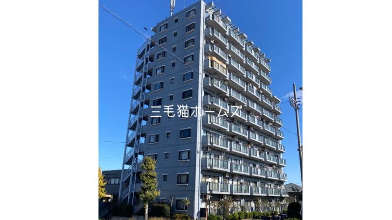 サンハロー湘南台　猫可　角部屋