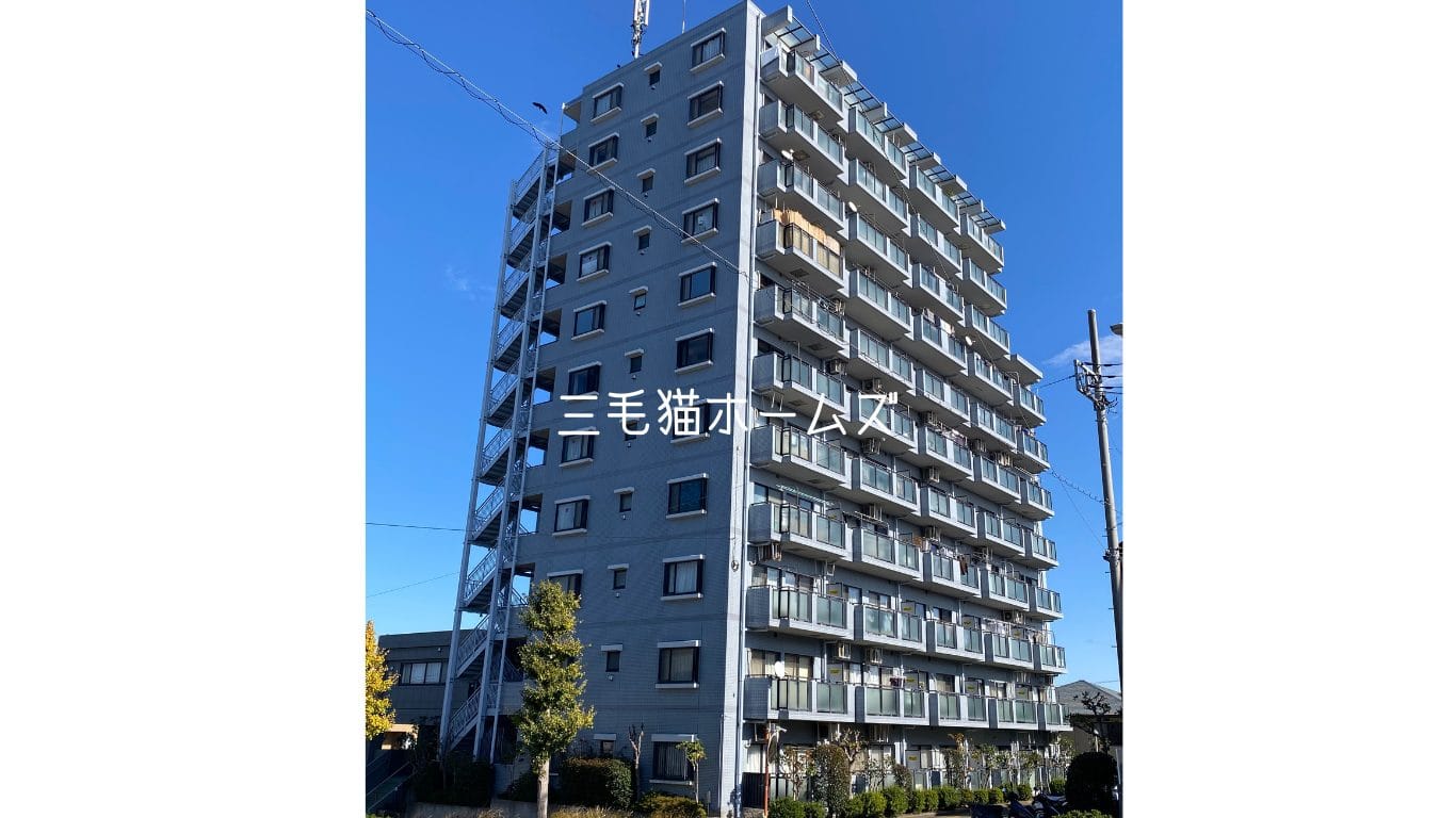 サンハロー湘南台　藤沢市　　「猫可」　「猫　不動産」　「猫と幸せに暮らす　売買」　「猫　売買」　「猫可　売買」　「猫可　売買　マンション」　「猫と暮らす　売買」　「猫可物件」　三毛猫ホームズ