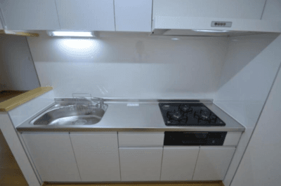 藤沢市藤沢５丁目 戸建て　猫可