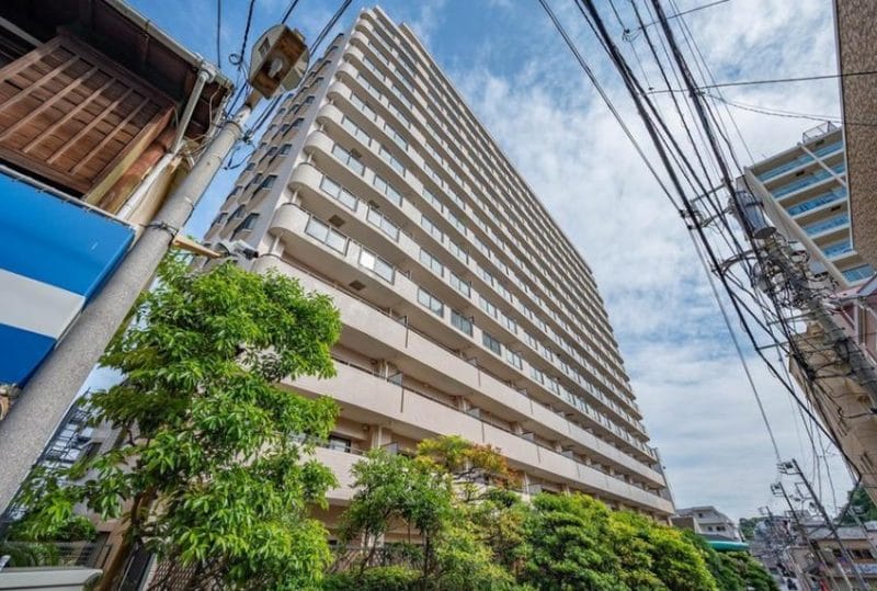 ライオンズタワー片瀬江ノ島 藤沢市　　「猫可」　「猫　不動産」　「猫と幸せに暮らす　売買」　「猫　売買」　「猫可　売買」　「猫可　売買　マンション」　「猫と暮らす　売買」　「猫可物件」　三毛猫ホームズ