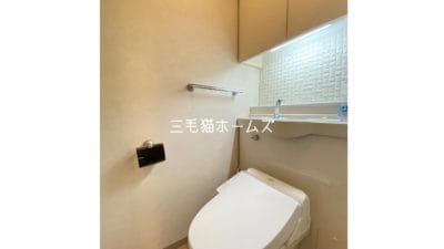 藤沢　シーサイドコート片瀬海岸　床暖房　　南向き「猫可」　「猫　不動産」　「猫と幸せに暮らす　売買」　「猫　売買」　「猫可　売買」　「猫可　売買　マンション」　「猫と暮らす　売買」　「猫可物件」　三毛猫ホームズ　トイレ