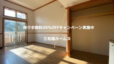 スカイコート　藤沢市　六会日大駅　南向き　日本大学　「猫可」　「猫　不動産」　「猫と幸せに暮らす　賃貸」　「猫　賃貸」　「猫可　賃貸」　「猫可　賃貸　アパート」　「猫と暮らす　賃貸」　「猫可物件」　三毛猫ホームズ　洋室