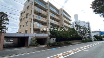 藤沢　シーサイドコート片瀬海岸　床暖房　　南向き「猫可」　「猫　不動産」　「猫と幸せに暮らす　売買」　「猫　売買」　「猫可　売買」　「猫可　売買　マンション」　「猫と暮らす　売買」　「猫可物件」　三毛猫ホームズ　外観