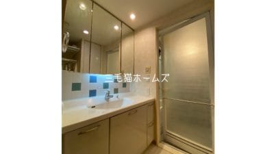 藤沢　シーサイドコート片瀬海岸　床暖房　　南向き「猫可」　「猫　不動産」　「猫と幸せに暮らす　売買」　「猫　売買」　「猫可　売買」　「猫可　売買　マンション」　「猫と暮らす　売買」　「猫可物件」　三毛猫ホームズ　洗面