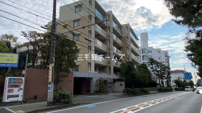 藤沢　シーサイドコート片瀬海岸　床暖房　　南向き「猫可」　「猫　不動産」　「猫と幸せに暮らす　売買」　「猫　売買」　「猫可　売買」　「猫可　売買　マンション」　「猫と暮らす　売買」　「猫可物件」　三毛猫ホームズ