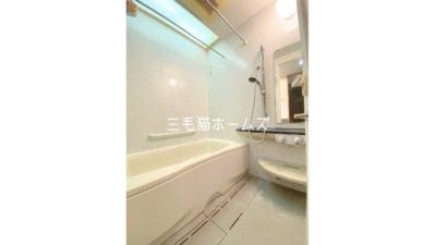 藤沢　シーサイドコート片瀬海岸　床暖房　　南向き「猫可」　「猫　不動産」　「猫と幸せに暮らす　売買」　「猫　売買」　「猫可　売買」　「猫可　売買　マンション」　「猫と暮らす　売買」　「猫可物件」　三毛猫ホームズ　お風呂