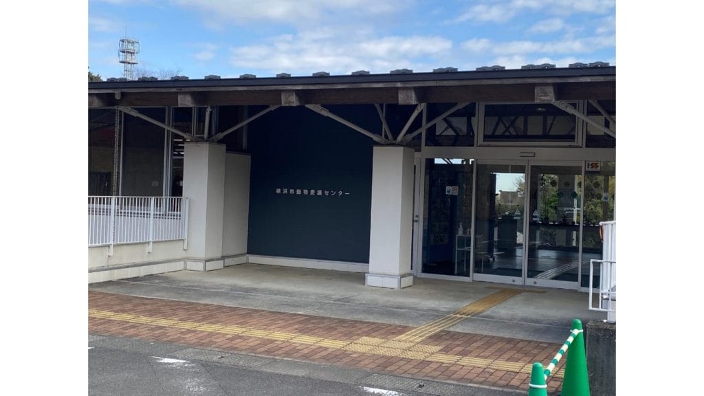 横浜市動物愛護センター 保護猫 譲渡会 里親 TNR 動物愛護センター 子猫 ノラ猫・野良猫 殺処分ゼロ 神奈川 藤沢 横浜