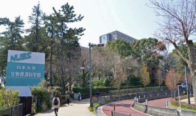 日本大学