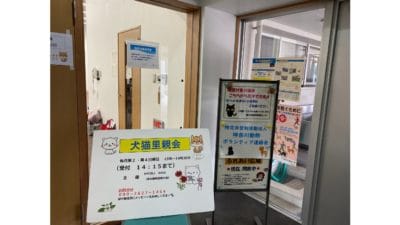 保護猫　譲渡会　里親　TNR　動物愛護センター　子猫　ノラ猫・野良猫　殺処分ゼロ　神奈川　藤沢　横浜
