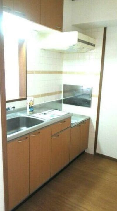 カウンターキッチン。猫ちゃんの脱走防止ゲートも設置しやすい設計。ディスポーザーはありませんが、広い調理スペースが魅力です。」