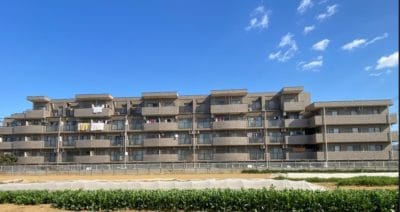 藤沢市　　「猫可」　「猫　不動産」　「猫と幸せに暮らす　売買」　「猫　売買」　「猫可　売買」　「猫可　売買　マンション」　「猫と暮らす　売買」　「猫可物件」　三毛猫ホームズ アプロアメニティ藤沢善行　リフォーム済み