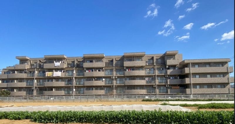 藤沢市　　「猫可」　「猫　不動産」　「猫と幸せに暮らす　売買」　「猫　売買」　「猫可　売買」　「猫可　売買　マンション」　「猫と暮らす　売買」　「猫可物件」　三毛猫ホームズ アプロアメニティ藤沢善行　リフォーム済み