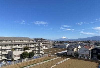 藤沢市　　「猫可」　「猫　不動産」　「猫と幸せに暮らす　売買」　「猫　売買」　「猫可　売買」　「猫可　売買　マンション」　「猫と暮らす　売買」　「猫可物件」　三毛猫ホームズ アプロアメニティ藤沢善行　リフォーム済み